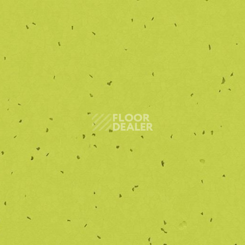 Линолеум Forbo Sphera Energetic 50214 lime фото 1 | FLOORDEALER